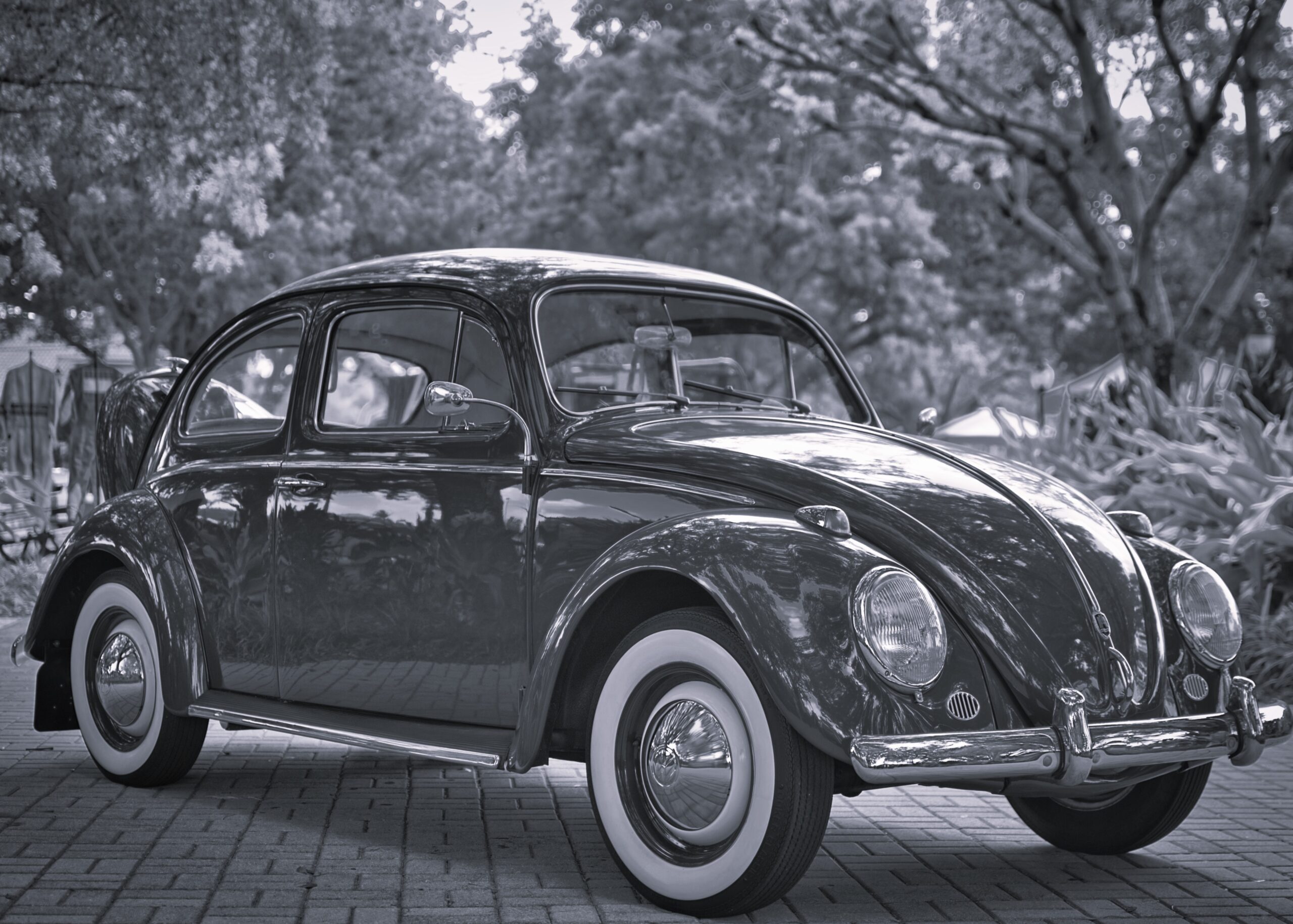 Lee más sobre el artículo Cultivando la imperfección